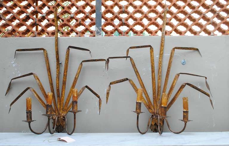 20th Century Pair of French Sconces in Gilded Metal