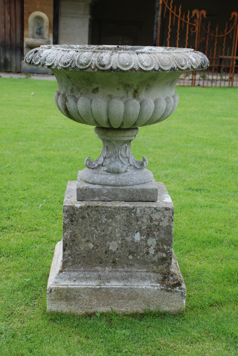 A 19th century composition stone urn attributed to Austin & Seeley of tazza form having egg and dart to the rim, lobed body and decorative socle raised in a square pedestal, circa 1880.

Provenance: Cosheston Hall, Pembrokeshire, England