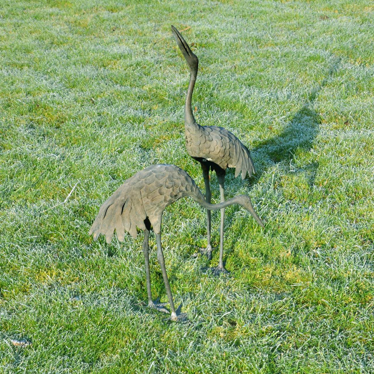 One upstanding with the second stooped. Remnants of the original red paint are on the crown. 

Tallest crane height: 61 cm (2 ft) 
Shortest crane height: 37 cm (1 ft 2 1/2 ins) 

The Red-crowned Crane (Grus japonensis) is the second rarest