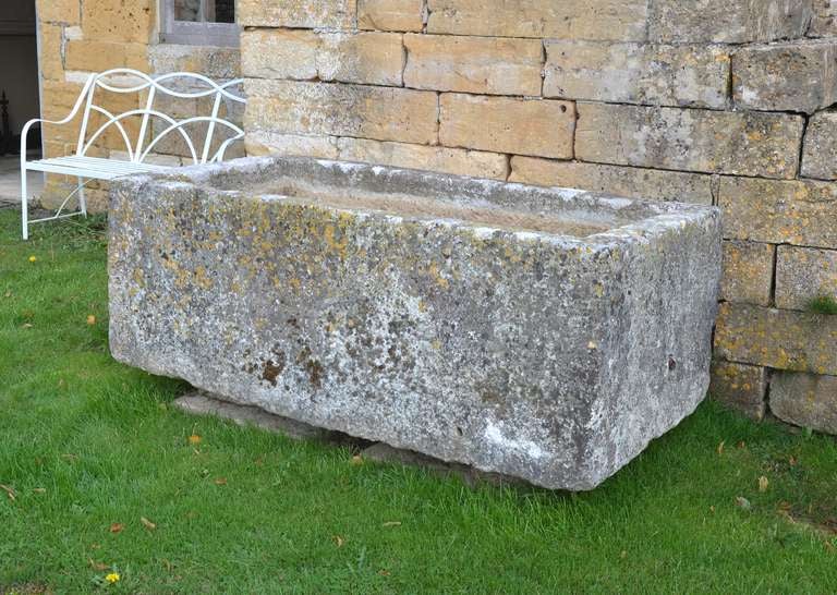 A large antique limestone trough