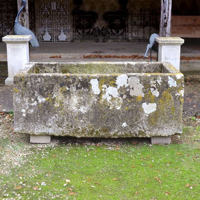 French Large Antique Limestone Trough