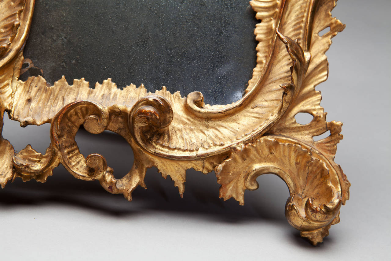 18th Century Italian Rococo Giltwood Mirror 4