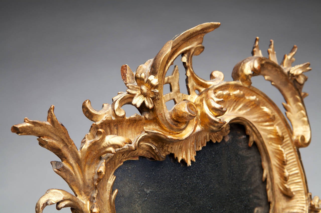 18th Century Italian Rococo Giltwood Mirror 3