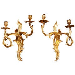 A Pair Of French Rococo Ormolu Wall Lights 