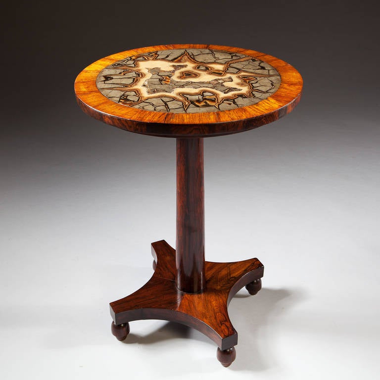 Regency Turtle Stone Table