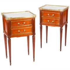 Antique Pair of 19th Century Bedside Cabinets