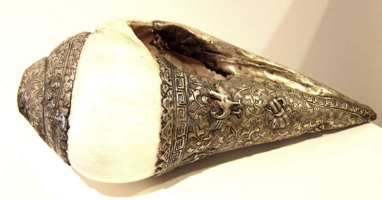 19th Century Sino-Tibetan Conch Shell Budhist Trumpet For Sale