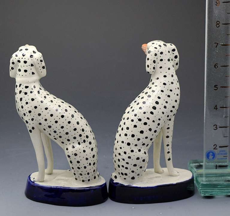 English Pair of Antique Staffordshire Figures of Dalmatian Dogs Seated on Blue Bases circa 1855 Period For Sale