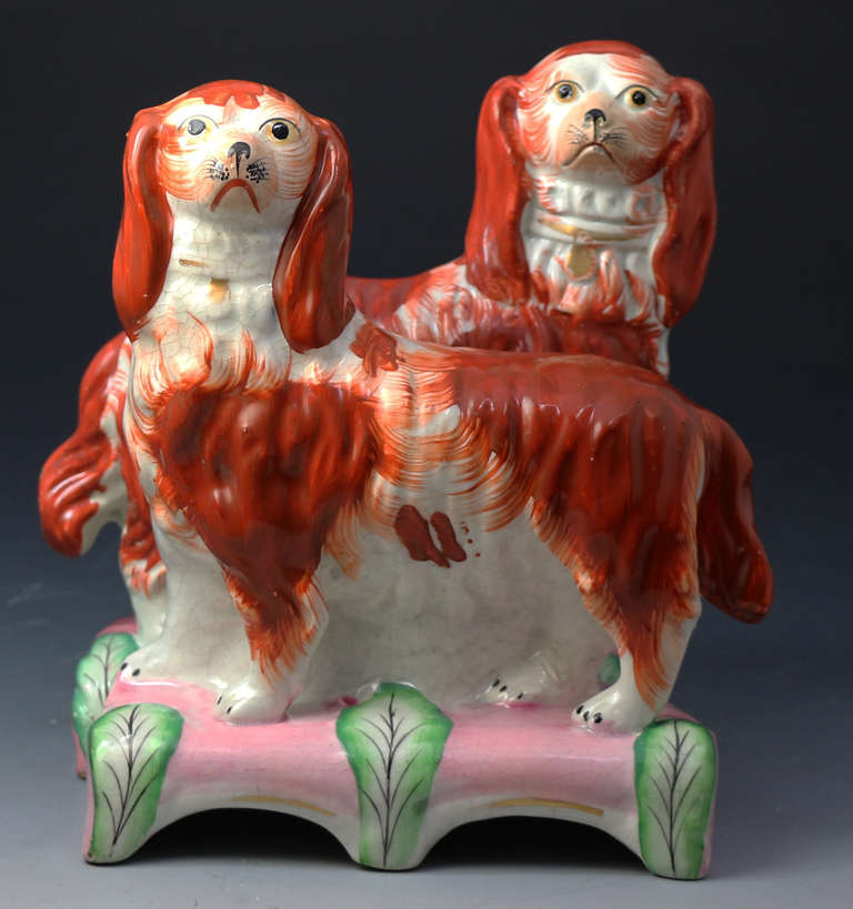 pink staffordshire dogs