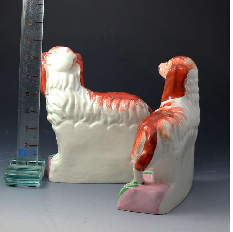 English Antique Staffordshire Figures of Spaniels Standing on Pink and Green Bases known as Grace and Majesty circa 1855