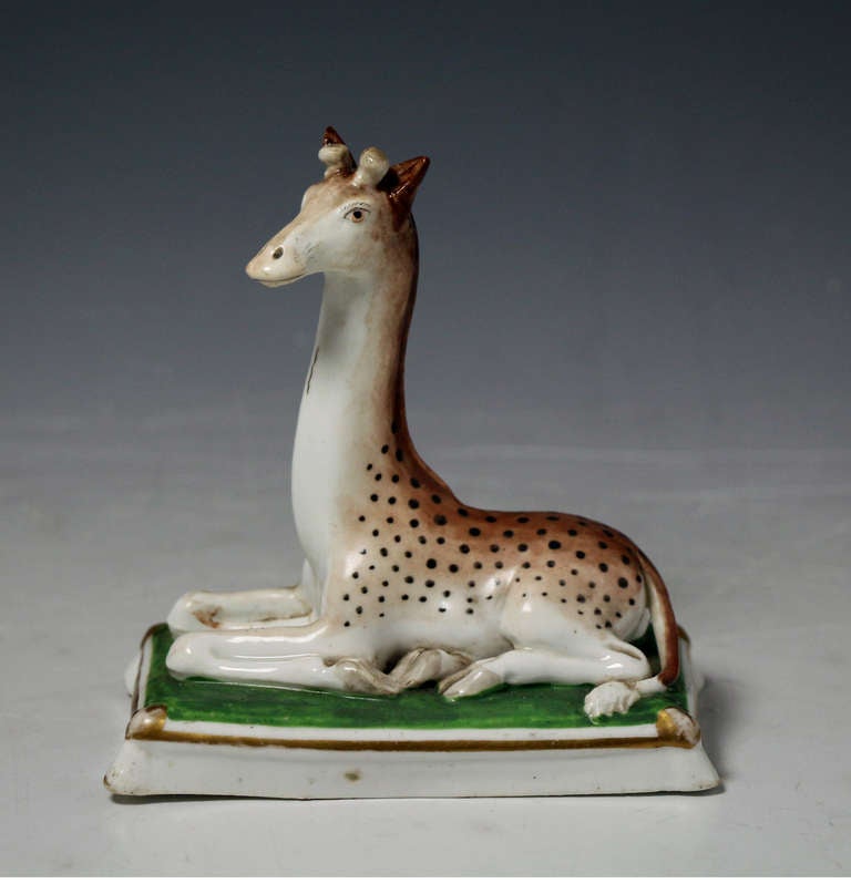 A very rare antique Staffordshire porcelain figure of a giraffe. 
Giraffes were viewed with wonder at the beginning of the 19th century.A Giraffe was a diplomatic gift from Mohammed Ali, the viceroy of Egypt, in 1827 to King George IV. 
King