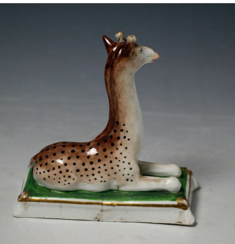 English Antique Staffordshire porcelain figure of a seated Giraffe circa 1840