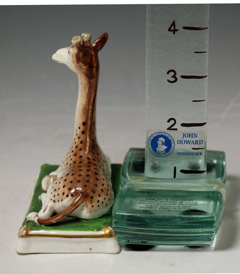 Antique Staffordshire porcelain figure of a seated Giraffe circa 1840 In Excellent Condition In Woodstock, OXFORDSHIRE