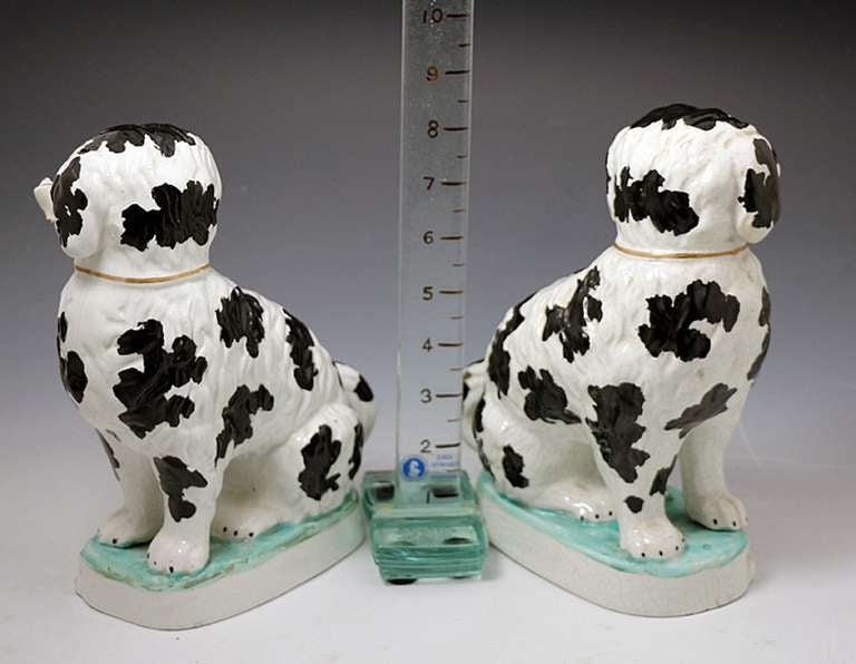 British Pair Victorian Staffordshire pottery figures of dogs smoking pipes