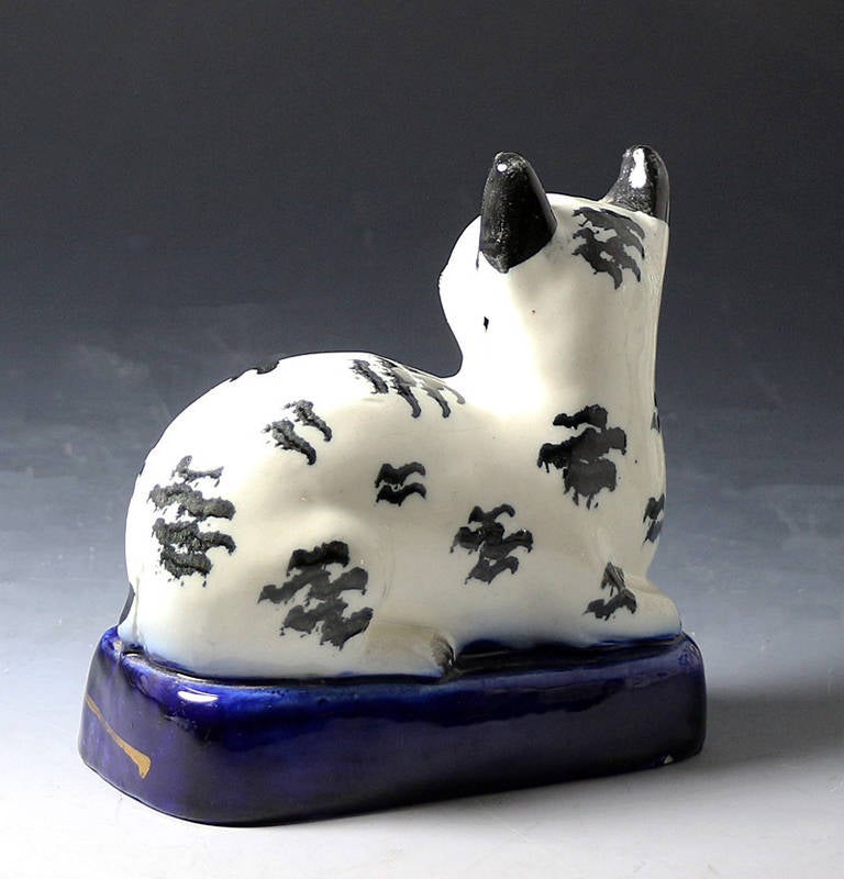 English Antique Staffordshire Pottery Figure of a Black and White Cat