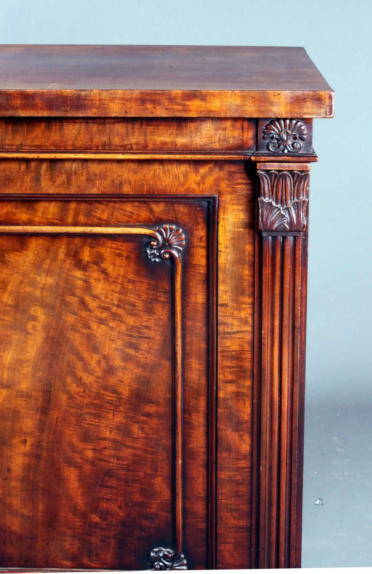 British Gillows library cabinet in mahogany c.1815 For Sale