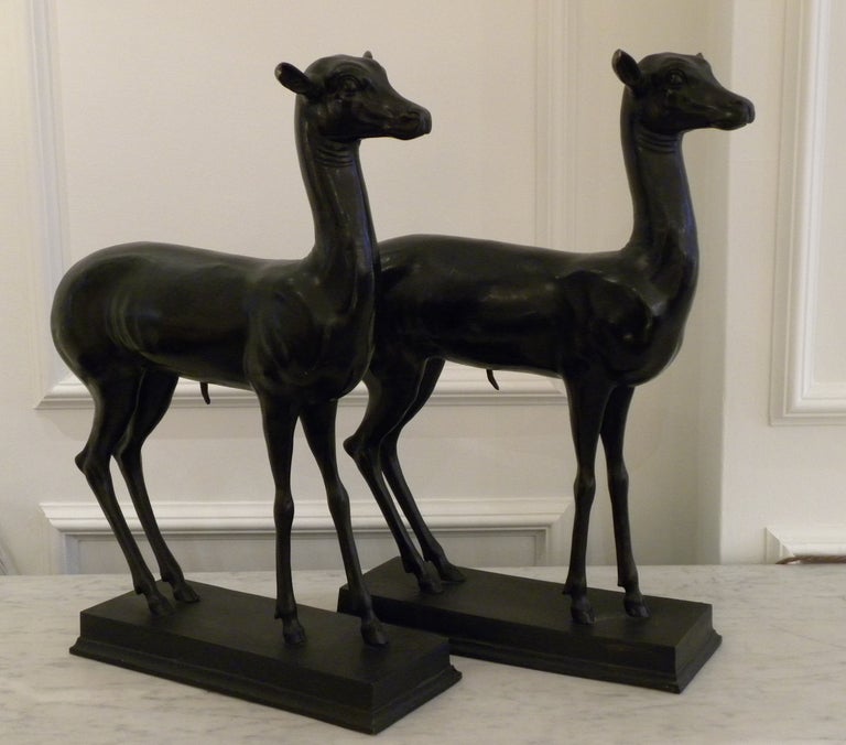 Pair of 1950s Bronze cast, fallow deer. Based on the two bronze Deers found in the Villa of Papyri in Pompeii. Cast in France with a Herculaneum black finish and with foundry marks 