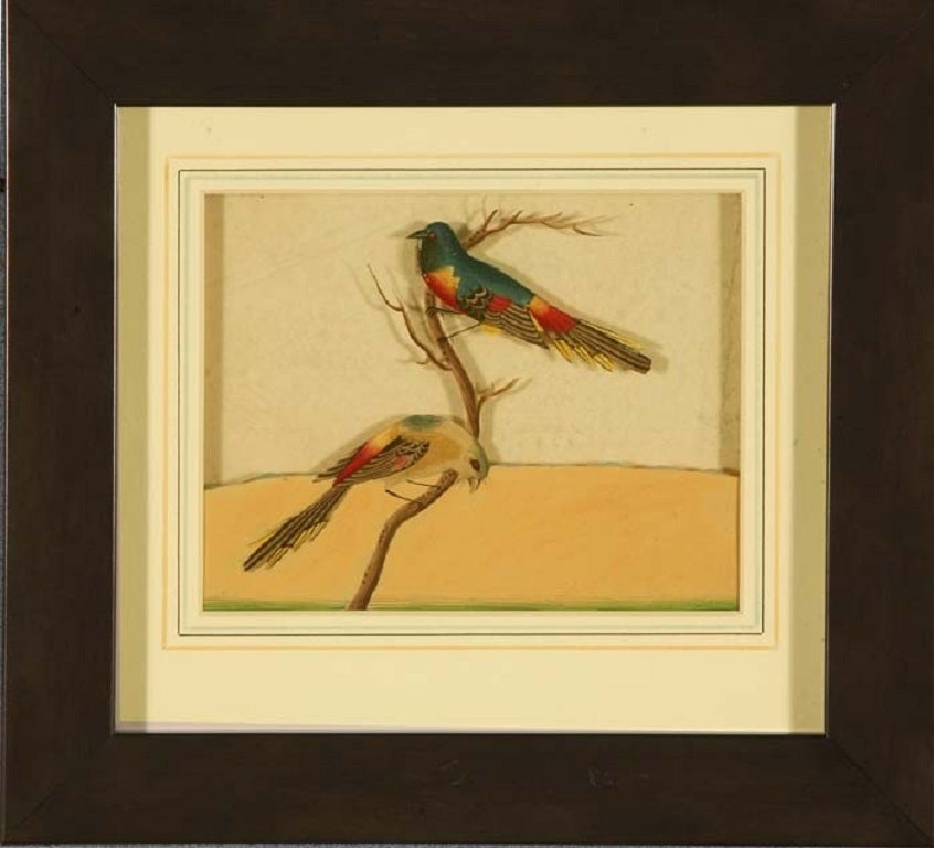 An Honourable East India Company School painting in gouache on mica of a pair of unknown exotic Indian birds. Probably painted in Benares. Mounted and framed. The market for paintings on mica was popularised by the British in India. Previously it