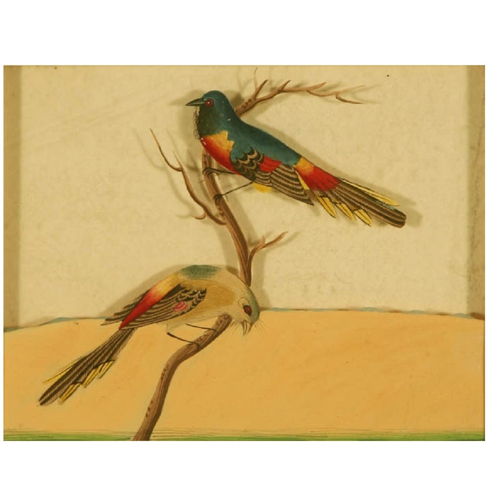 HEIC Painting of Exotic Indian Birds For Sale
