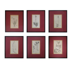 18th Century Black and White Floral Prints, Set of Six 6