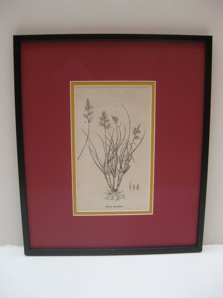 18th Century Black and White Floral Prints, Set of Six
