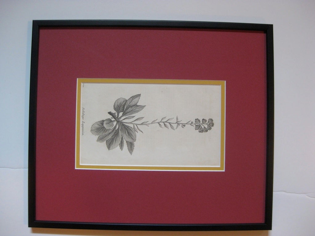 Other 18th Century Black and White Floral Prints, Set of Six For Sale