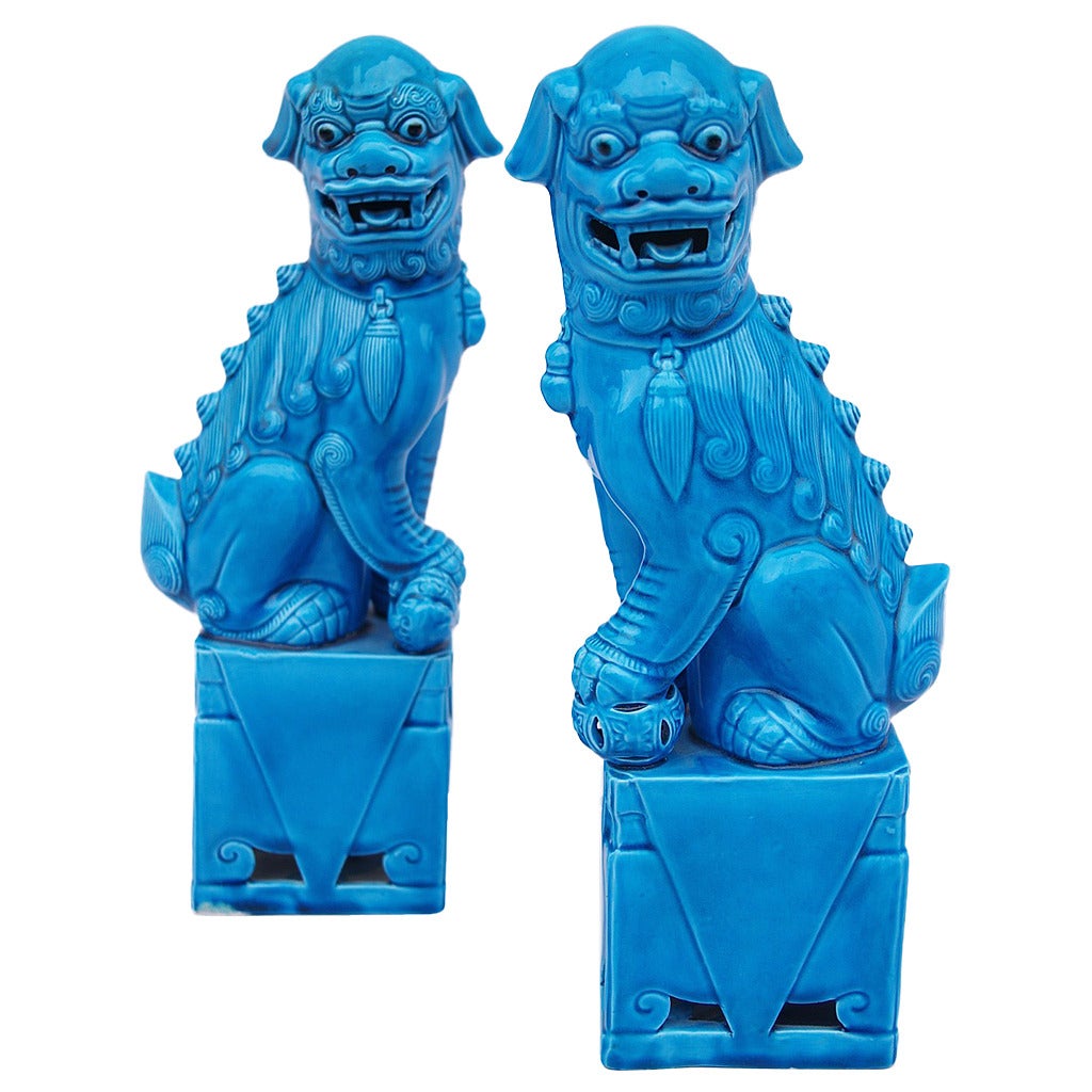 Pair of Pho Dogs Sculptures in Blue Porcelain, circa 1900