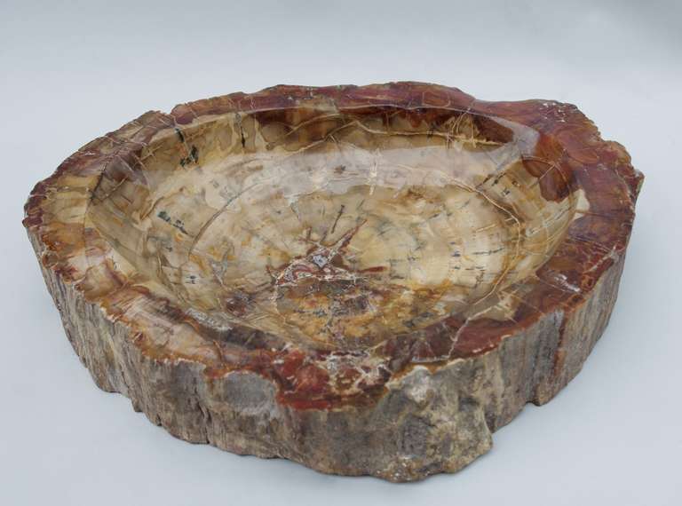 Vide-Poche in Petrified Wood from the 20th Century