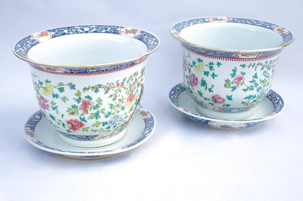 Pair of green family porcelain planter and their plates. White background decorated with polychromatic enamels representing on the body of de vase a plants decoration with cherry blossom, peonies, dahlias and eyelets, and a phoenix. On both planter