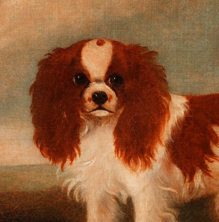 Twin Portraits of King Charles Spaniels
Oils on Canvas
Within Faux Rosewood Painted Frames 
English, c1840
Each is 18