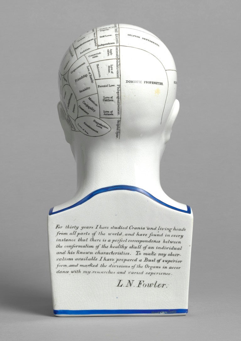 Phrenology Kopf Büste L.N. Fowler - Psychologie (Gebraucht) in