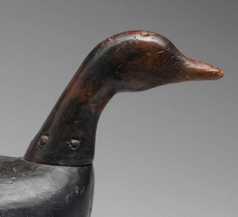 Folk Art Root Head Brandt Goose Decoy