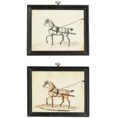 Pair of Carriage Horse Portraits