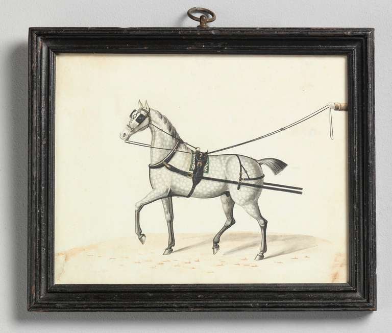 English Pair of Carriage Horse Portraits