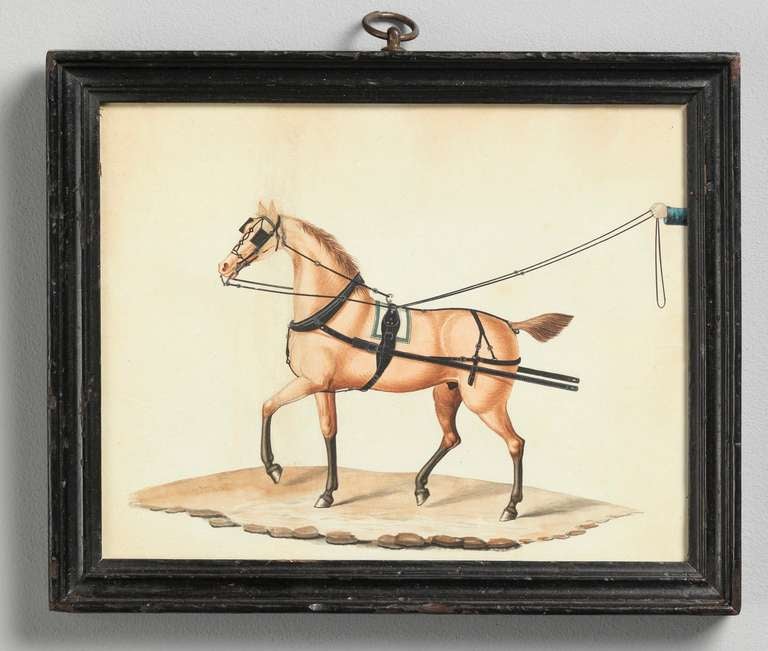 Pair of Carriage Horse Portraits In Excellent Condition In London, GB