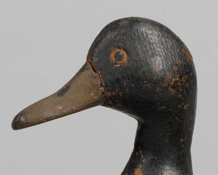 Working Duck Decoy In Good Condition In London, GB