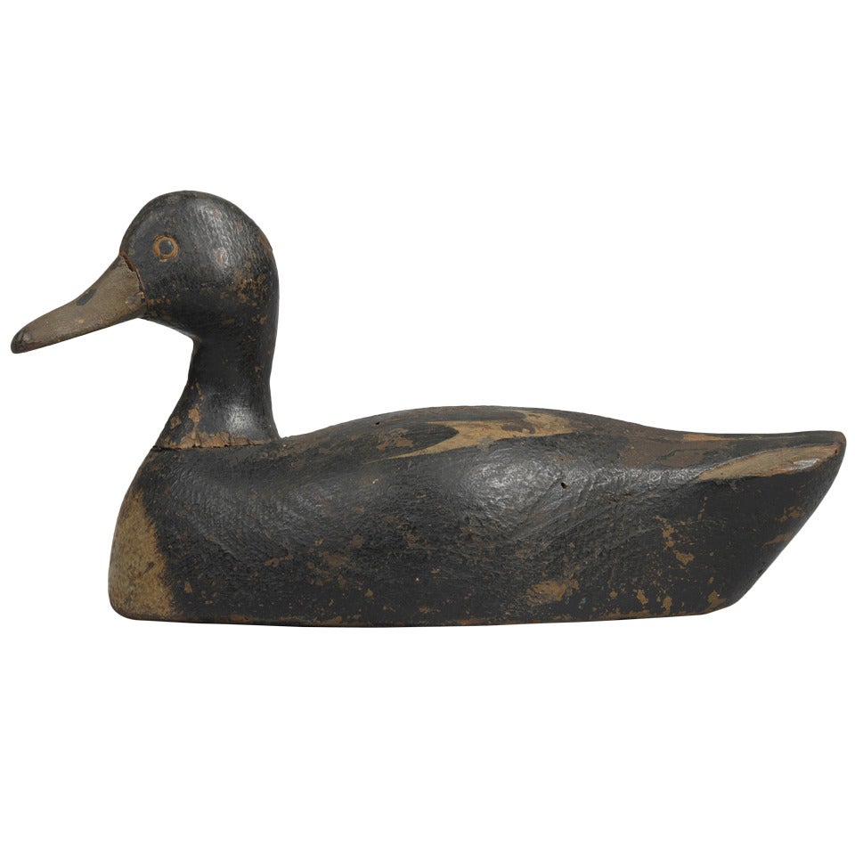 Working Duck Decoy