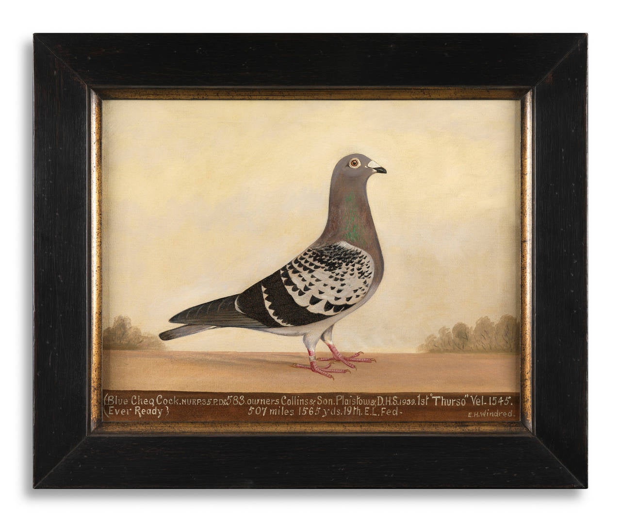 E H Windred 
Pair of Naive Racing Pigeon Portrait 
Oils on Canvas 
English, Inscribed, Signed and Dated