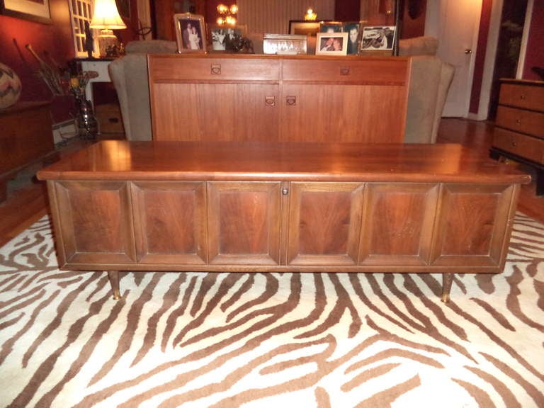 Mid Century Paneled Chest by Lane. Technically this is a cedar chest but would make a great piece below a flat screen TV. Store your blankets or wool sweaters inside to keep fresh.