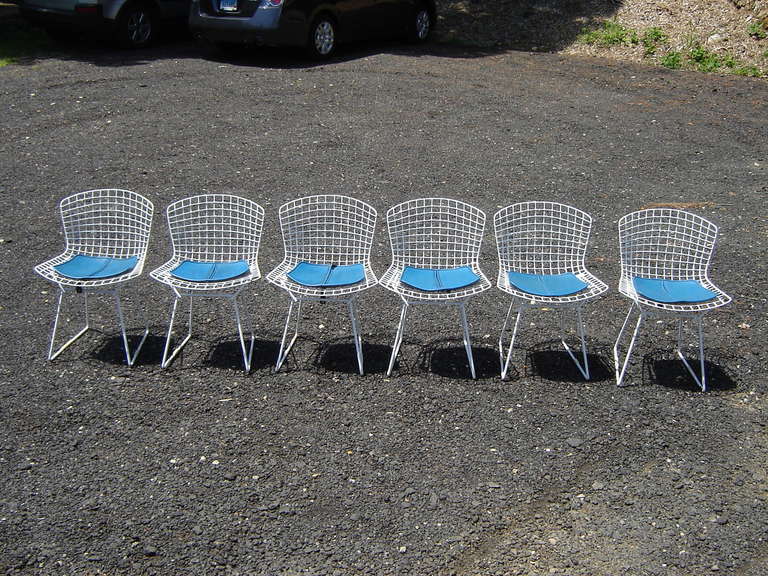 Pair of Welded Mesh White Chairs designed  by Harry Bertoia with blue cushions. Great for in or outdoors.