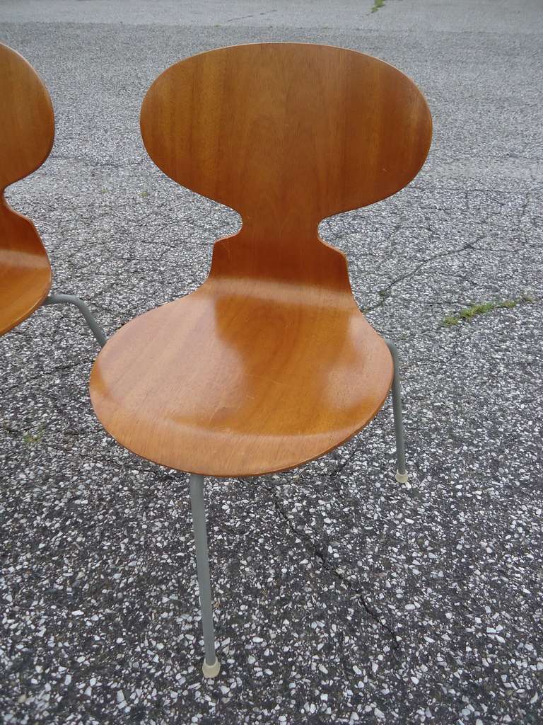 Rare Set of Six Arne Jacobsen Ant Chairs with Drop-Leaf Table 4