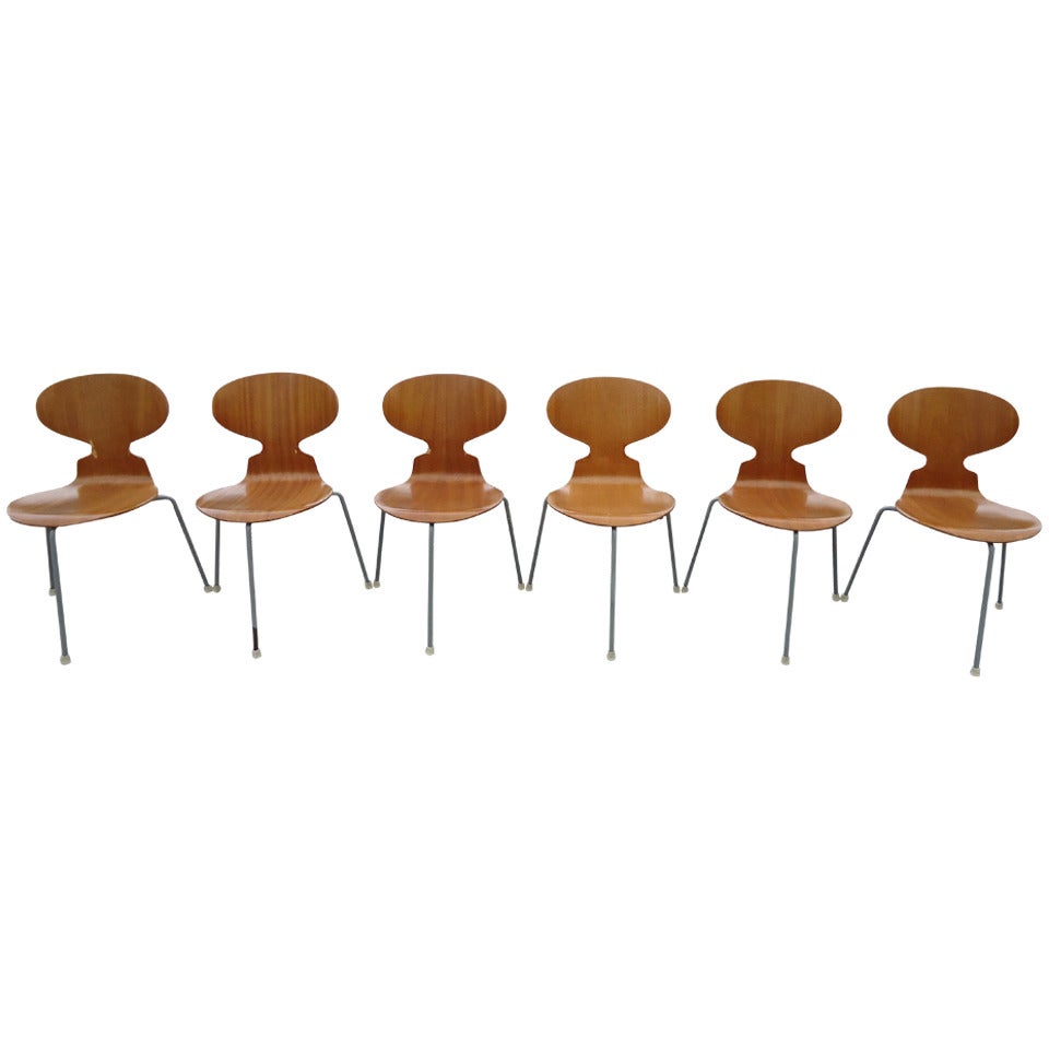 Rare Set of Six Arne Jacobsen Ant Chairs with Drop-Leaf Table 13
