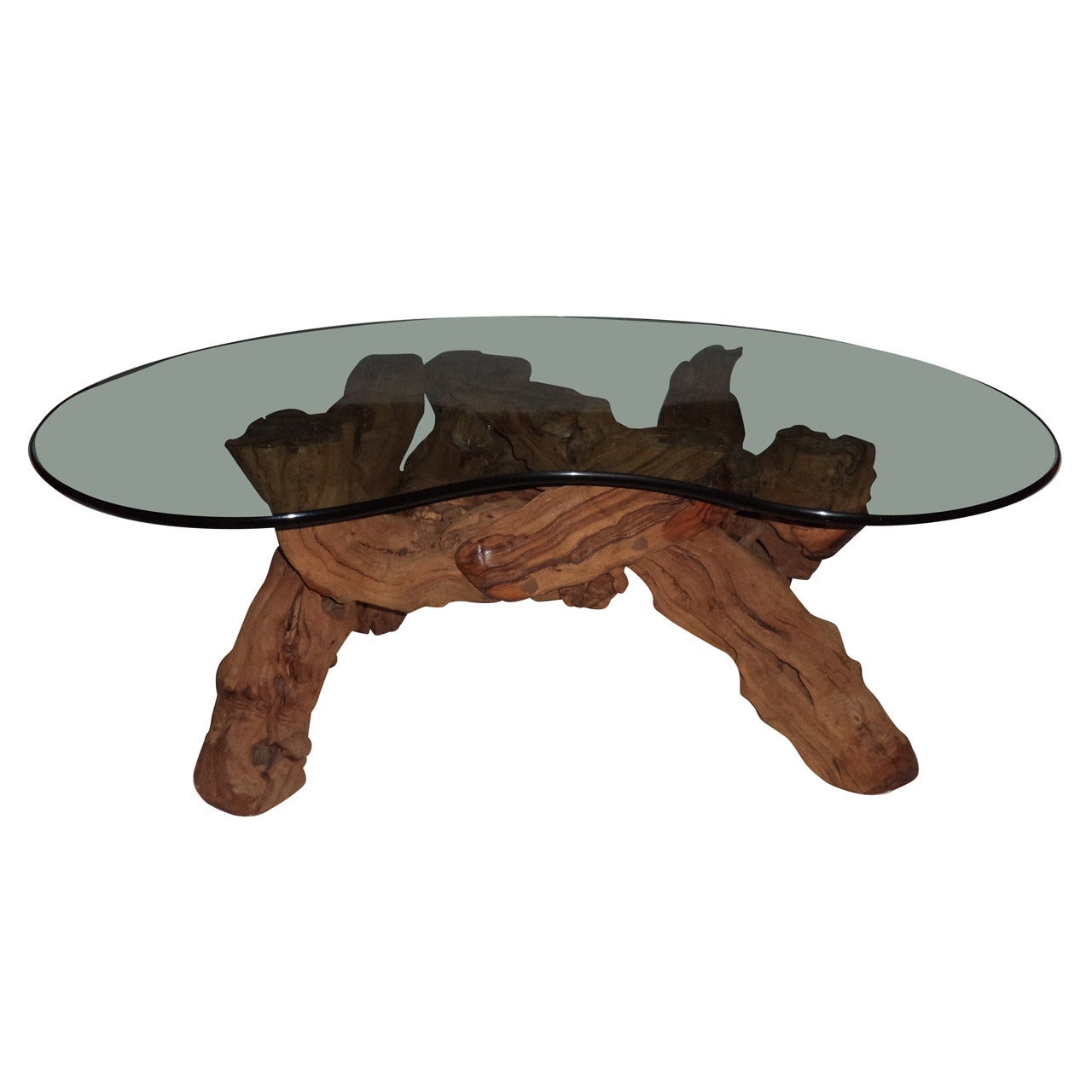Cypress Root Driftwood Coffee Table with smoked glass top