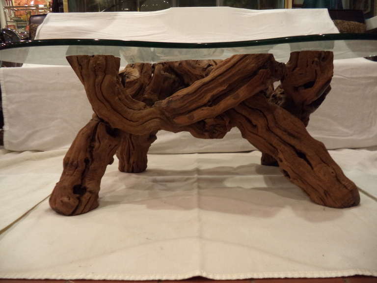 Cypress Root Driftwood Coffee Table with smoked glass top In Good Condition In Redding, CT