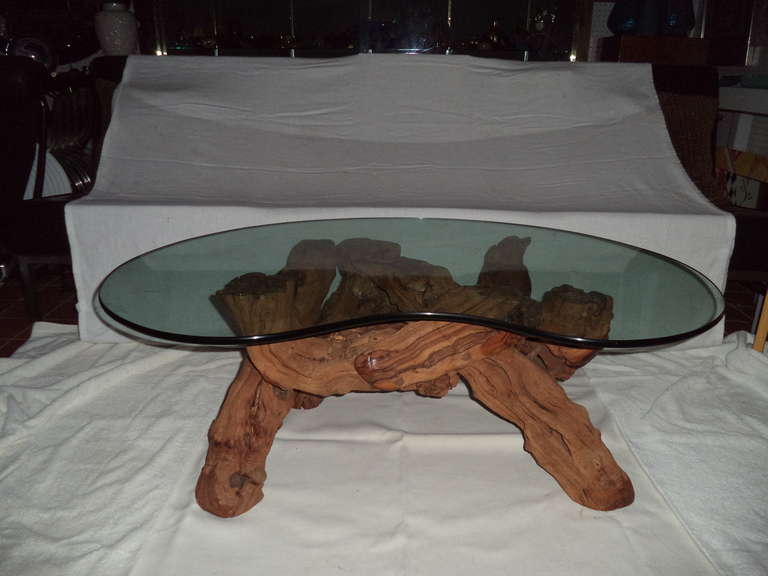 cypress root coffee table