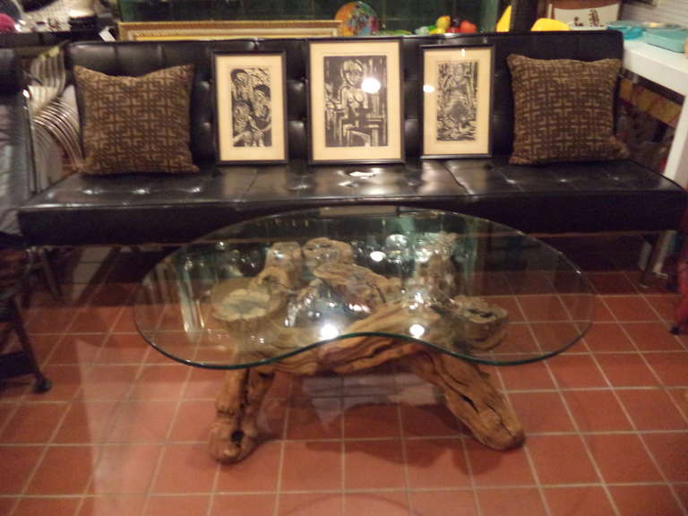 Cypress Root Driftwood Coffee Table with smoked glass top 1