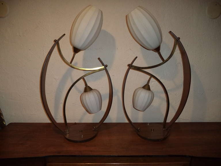 Unbelievable pair of Mid-Century Modern teak lamps. Floral like design with blossoming bulbs and teak leaves. Accentuated by brass stems(arms) and fittings. Three way lighting and frosted glass shades create the ultimate in mood lighting.