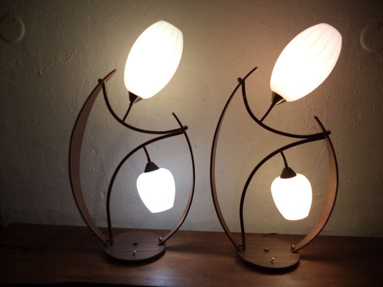 Mid-20th Century Pair of Mid-Century Modern Teak Lamps