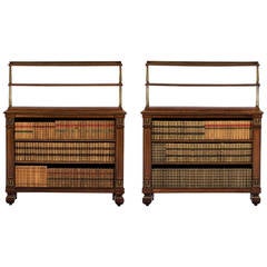 Antique Pair of Regency Rosewood Dwarf Bookcases with Gilt Ormulu and Brass Mounts