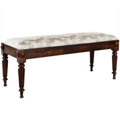 Rare Regency Rio Rosewood Cushion Seat Bench in the manner of Gillows